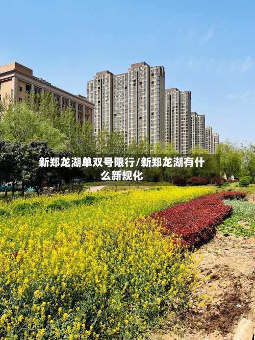 新郑龙湖单双号限行/新郑龙湖有什么新规化-第1张图片