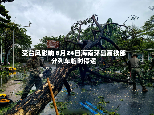 受台风影响 8月24日海南环岛高铁部分列车临时停运-第1张图片