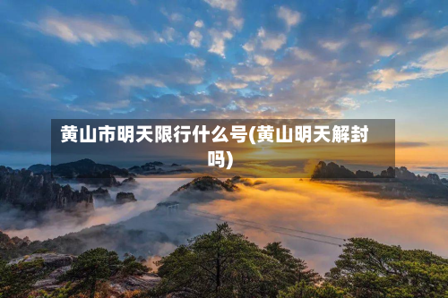 黄山市明天限行什么号(黄山明天解封吗)-第1张图片