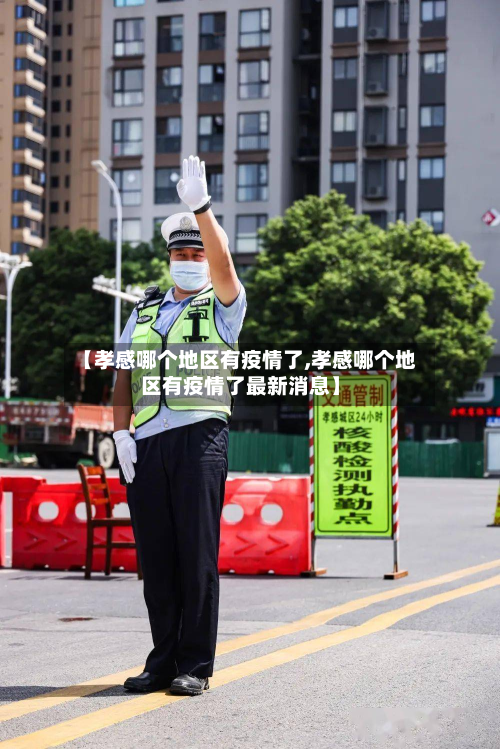 【孝感哪个地区有疫情了,孝感哪个地区有疫情了最新消息】-第1张图片
