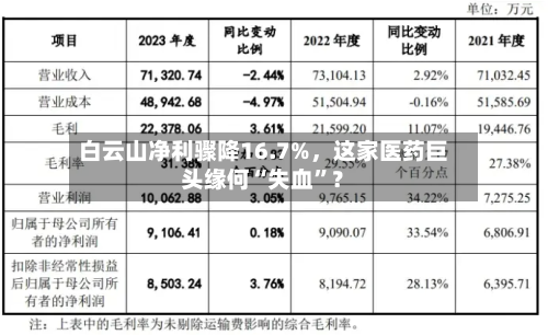 白云山净利骤降16.7%，这家医药巨头缘何“失血”？-第2张图片