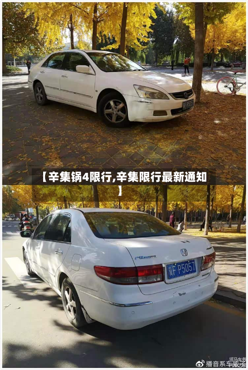 【辛集锅4限行,辛集限行最新通知】-第1张图片