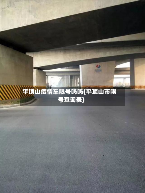 平顶山疫情车限号吗吗(平顶山市限号查询表)-第1张图片
