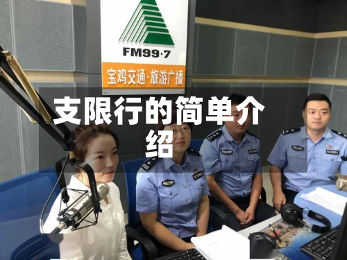 支限行的简单介绍-第1张图片