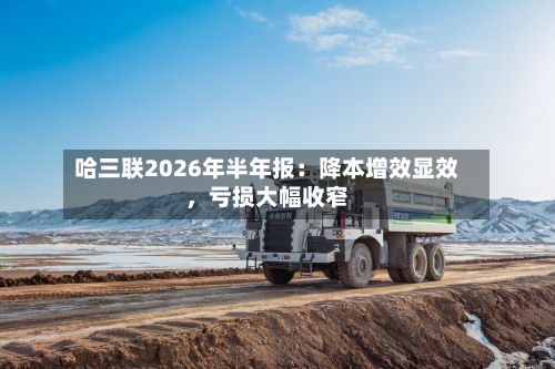 哈三联2026年半年报：降本增效显效，亏损大幅收窄-第3张图片