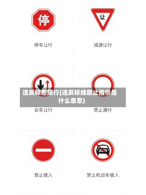 违反标志限行(违反标线禁止指示是什么意思)-第1张图片