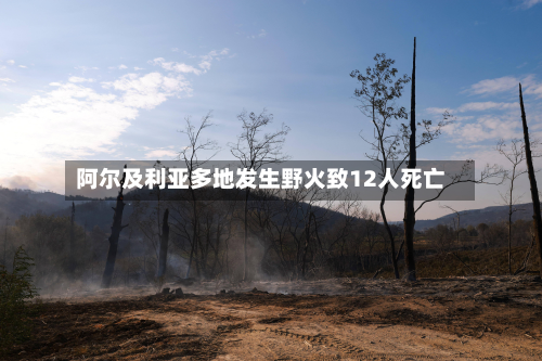 阿尔及利亚多地发生野火致12人死亡-第1张图片