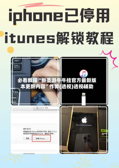 必看教程“新圣游牛牛挂官方最新版本更新内容	”作弊(透视)透视辅助-第2张图片