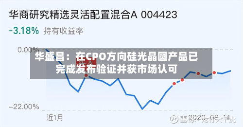 华盛昌:在CPO方向硅光晶圆产品已完成发布验证并获市场认可-第1张图片