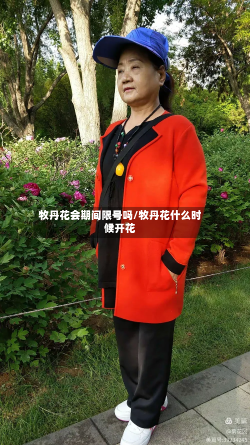 牧丹花会期间限号吗/牧丹花什么时候开花-第1张图片