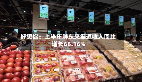 好想你:上半年胖东来渠道收入同比增长66.16%-第1张图片