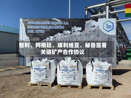 智利、阿根廷	、玻利维亚、秘鲁签署关键矿产合作协议-第2张图片