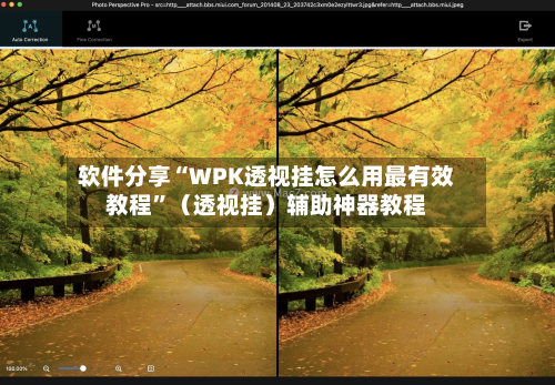 软件分享“WPK透视挂怎么用最有效教程	”（透视挂）辅助神器教程-第2张图片