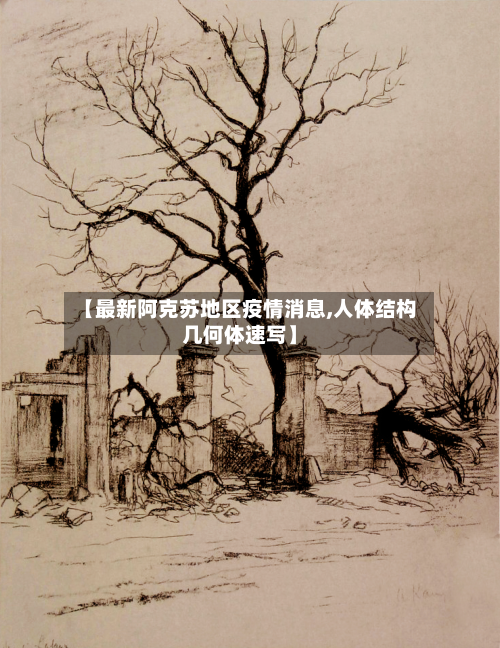 【最新阿克苏地区疫情消息,人体结构几何体速写】-第1张图片