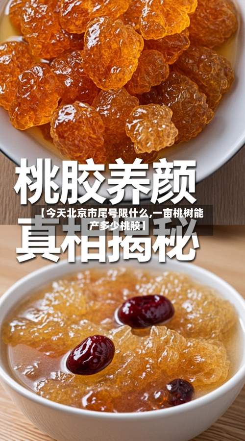 【今天北京市尾号限什么,一亩桃树能产多少桃胶】-第1张图片