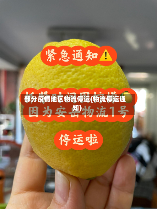 部分疫情地区物流停运(物流停运通知)-第1张图片