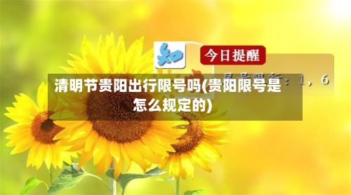 清明节贵阳出行限号吗(贵阳限号是怎么规定的)-第1张图片