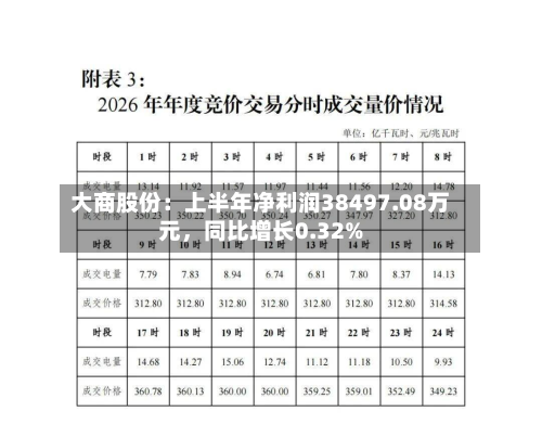 大商股份：上半年净利润38497.08万元，同比增长0.32%-第3张图片
