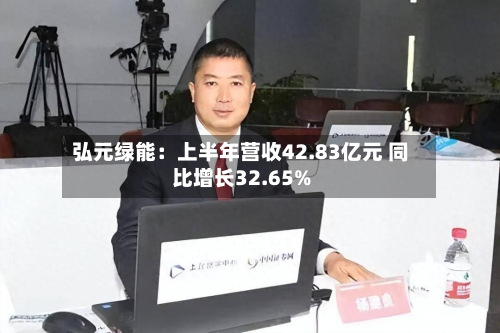 弘元绿能:上半年营收42.83亿元 同比增长32.65%-第1张图片