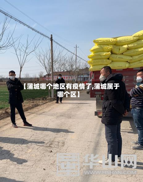 【蒲城哪个地区有疫情了,蒲城属于哪个区】-第1张图片