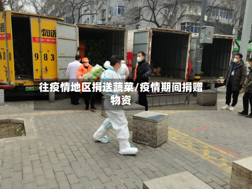 往疫情地区捐送蔬菜/疫情期间捐赠物资-第1张图片
