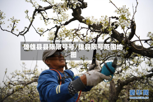 雄雄县县限限号号/雄县限号范围地图-第1张图片