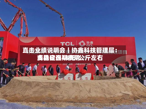 直击业绩说明会丨协鑫科技管理层:多晶硅远期费用
或稳定在45元/公斤左右-第1张图片