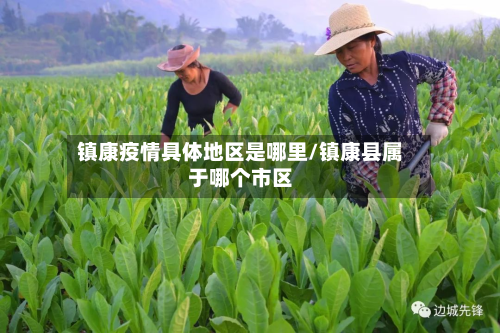 镇康疫情具体地区是哪里/镇康县属于哪个市区-第1张图片