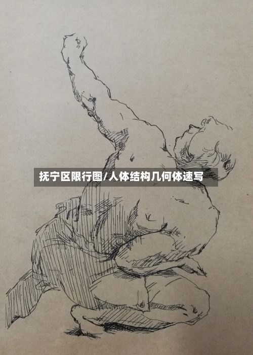 抚宁区限行图/人体结构几何体速写-第1张图片