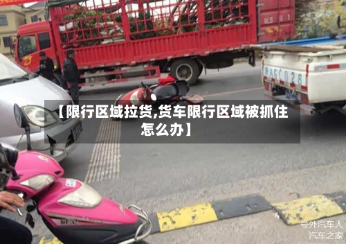 【限行区域拉货,货车限行区域被抓住怎么办】-第1张图片