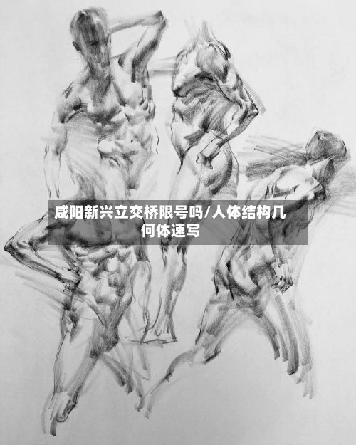 咸阳新兴立交桥限号吗/人体结构几何体速写-第1张图片