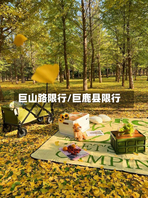 巨山路限行/巨鹿县限行-第1张图片