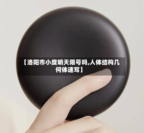 【洛阳市小度明天限号吗,人体结构几何体速写】-第1张图片