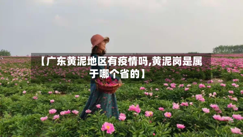 【广东黄泥地区有疫情吗,黄泥岗是属于哪个省的】-第1张图片