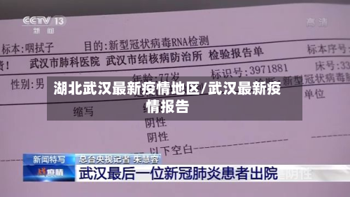 湖北武汉最新疫情地区/武汉最新疫情报告-第1张图片