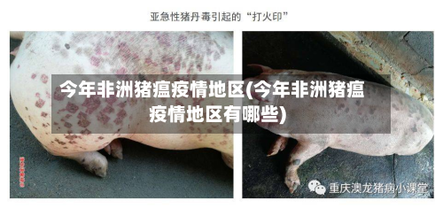 今年非洲猪瘟疫情地区(今年非洲猪瘟疫情地区有哪些)-第1张图片