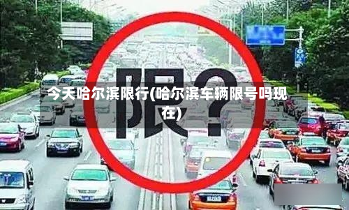 今天哈尔滨限行(哈尔滨车辆限号吗现在)-第1张图片