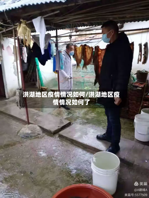 洪湖地区疫情情况如何/洪湖地区疫情情况如何了-第1张图片