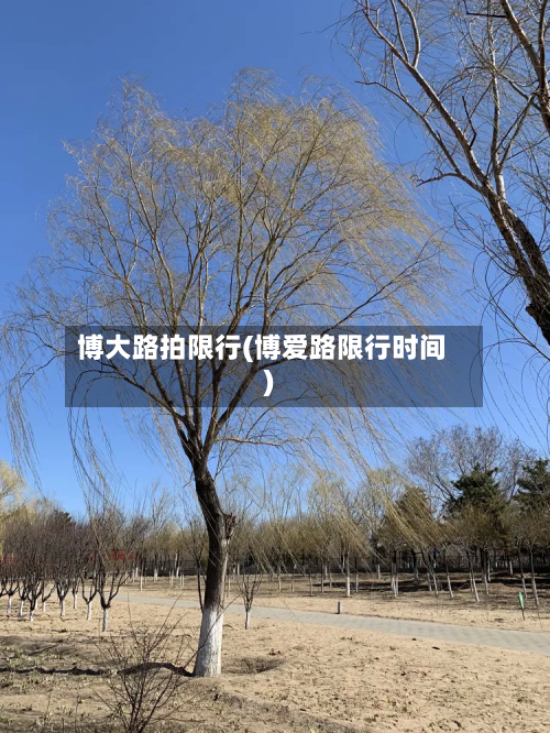 博大路拍限行(博爱路限行时间)-第1张图片