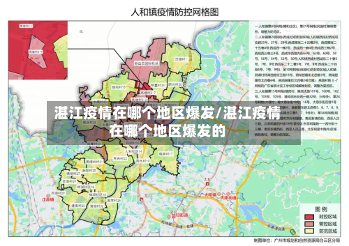 湛江疫情在哪个地区爆发/湛江疫情在哪个地区爆发的-第1张图片