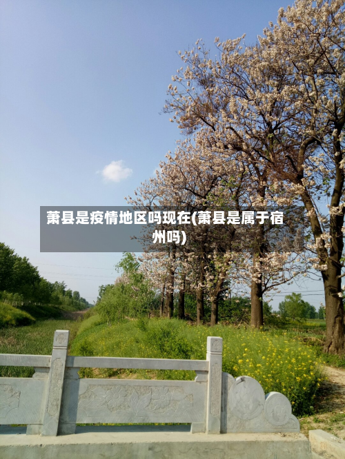萧县是疫情地区吗现在(萧县是属于宿州吗)-第1张图片