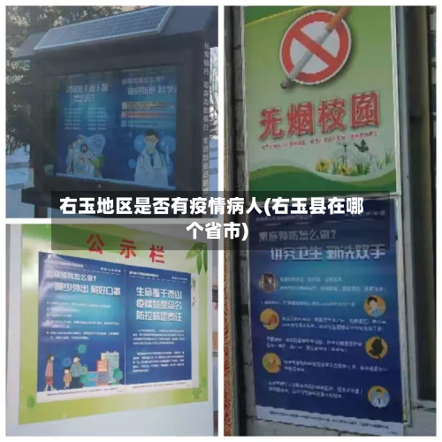 右玉地区是否有疫情病人(右玉县在哪个省市)-第1张图片