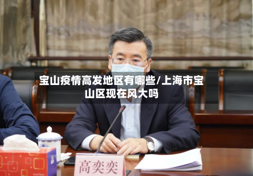宝山疫情高发地区有哪些/上海市宝山区现在风大吗-第1张图片