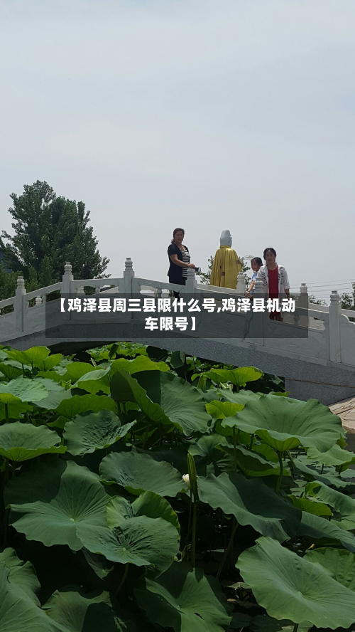 【鸡泽县周三县限什么号,鸡泽县机动车限号】-第1张图片