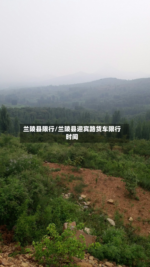 兰陵县限行/兰陵县迎宾路货车限行时间-第1张图片