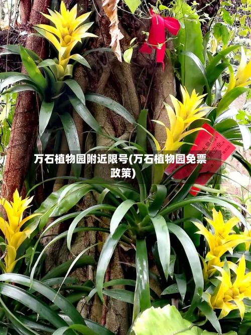 万石植物园附近限号(万石植物园免票政策)-第1张图片