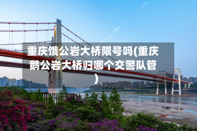 重庆饿公岩大桥限号吗(重庆鹅公岩大桥归哪个交警队管)-第1张图片