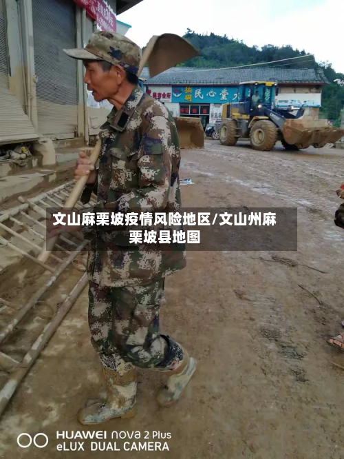 文山麻栗坡疫情风险地区/文山州麻栗坡县地图-第1张图片