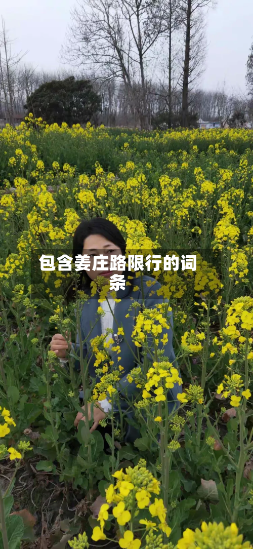 包含姜庄路限行的词条-第1张图片