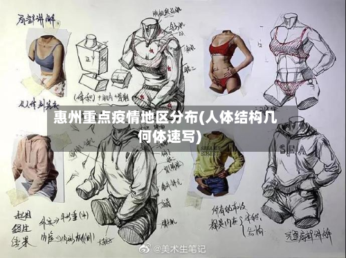 惠州重点疫情地区分布(人体结构几何体速写)-第1张图片